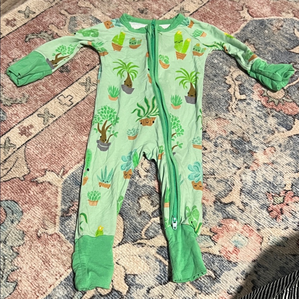Little Sleepies Succulent Print